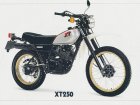 1981 Yamaha XT 250